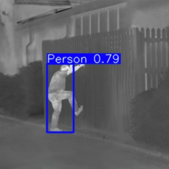intrusion detection